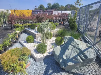 Centrum ogrodnicze Acer